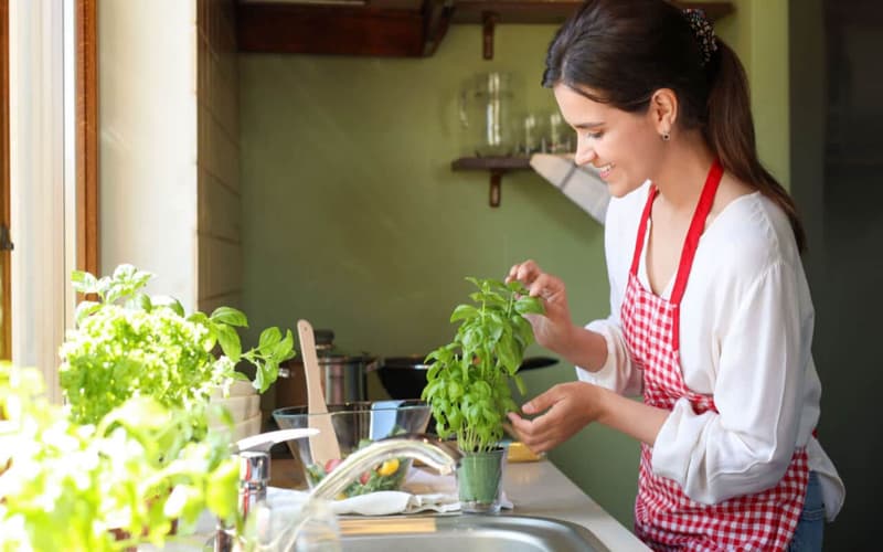 10 Health Benefits of Basil Leaves