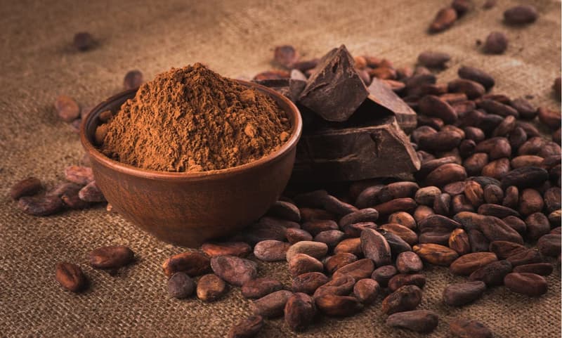 Cocoa Powder: Health Benefits, Nutritional Facts & Recipes