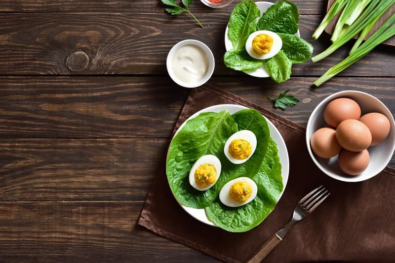 All You Must Know About the Egg Diet