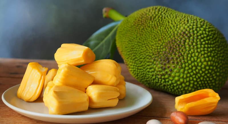 Jackfruit – Benefits, Nutrition, Precautions and Uses
