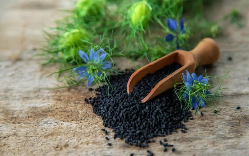Kalonji Seeds – Benefits, Nutrition, Side effects, & Recipes