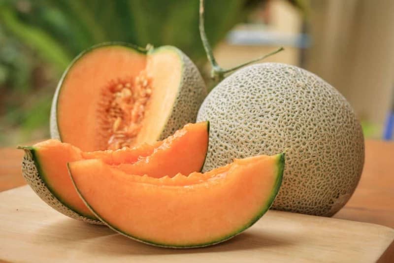 Muskmelon – Benefits, Nutrition Facts, and Ways to Consume