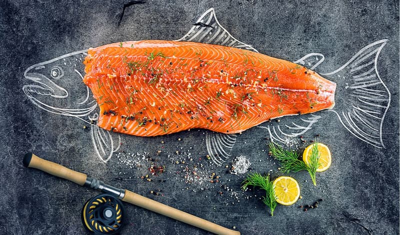 Salmon Fish: Benefits, Nutritional Value and Health Recipes