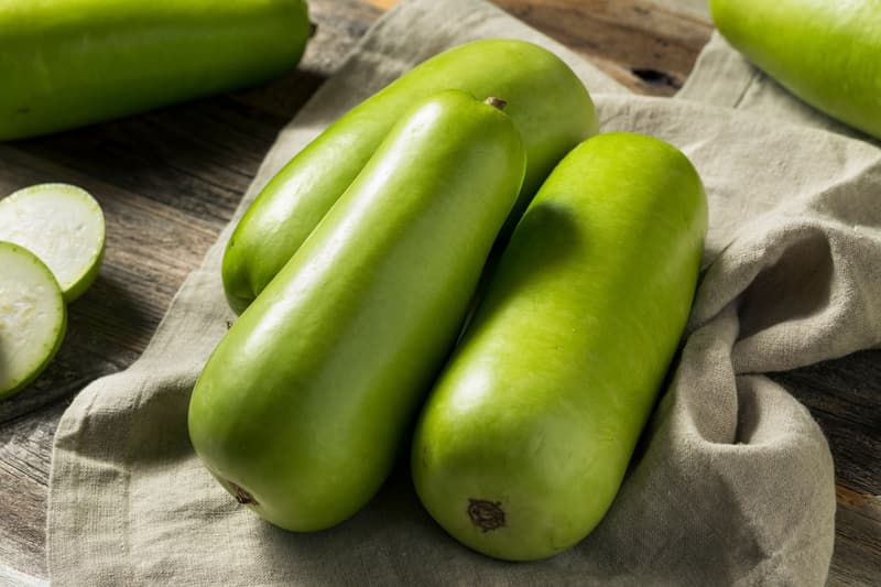 Bottle Gourd: Nutritional Profile, Health Benefits, Recipes and More