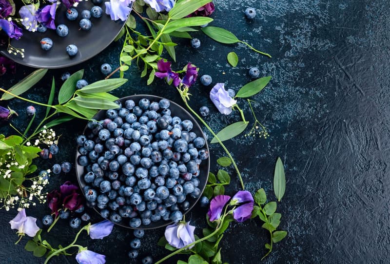 Blueberry – Benefits, Nutrition, and Side Effects