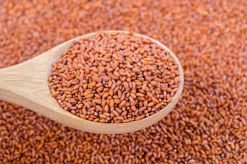 Halim Seeds: Tiny Wonders Of Health Benefits 
