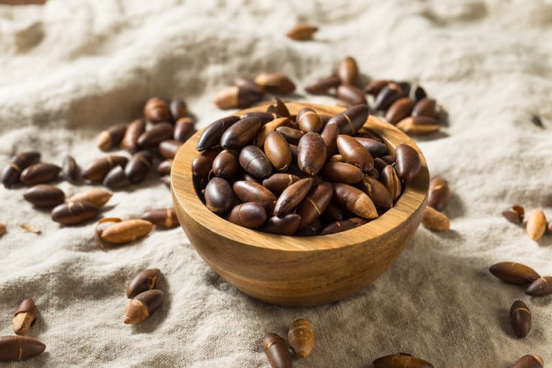Baru Nuts – The Fleshy Fruit with a High Nutrition