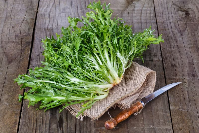 Endives – The Ultimate Guide and Its Health Benefits