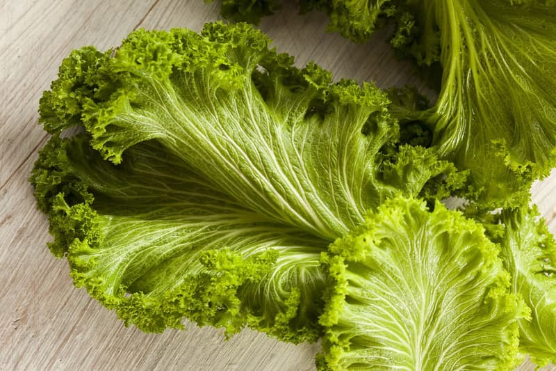 Mustard Greens: The ‘Must-have’ Green Leafy Vegetable!