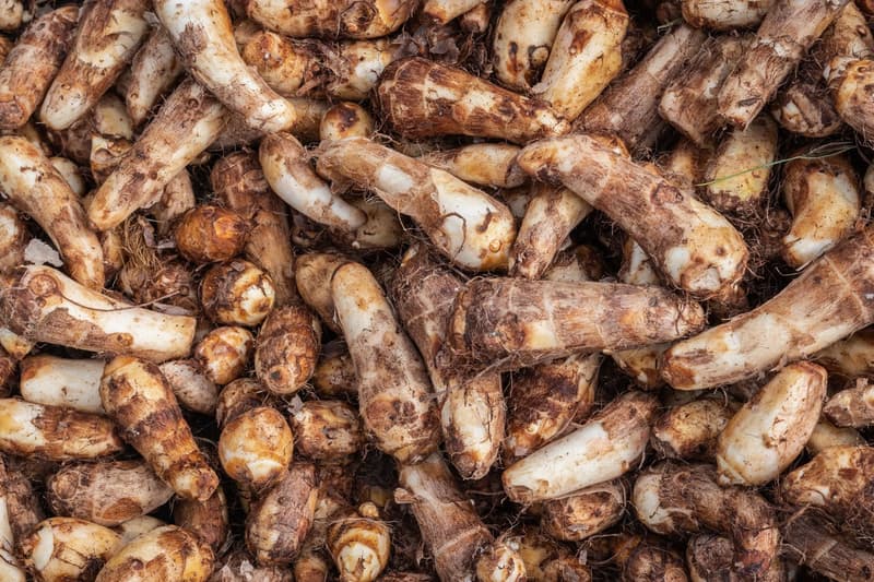 Taro Root: Nutritional Profile, Benefits, Recipes and More