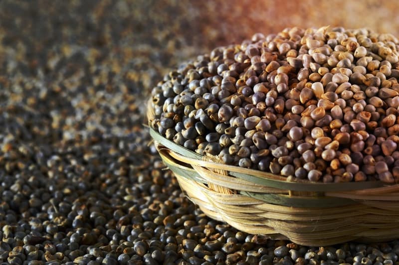 Is Bajra Good for Weight Loss? What Does Science Say?