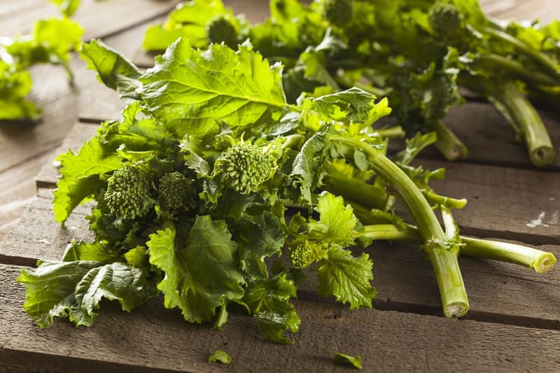 Health Benefits of Broccoli Rabe