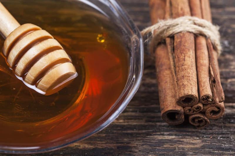 Honey and Cinnamon a Magic Potion for Good Health