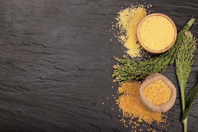 Millets – Types, Benefits, Nutrition Fact, & Recipes