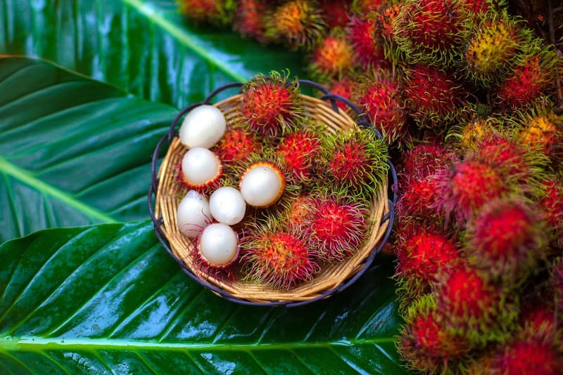 Rambutan – Nutrition, Health Benefits and Recipes