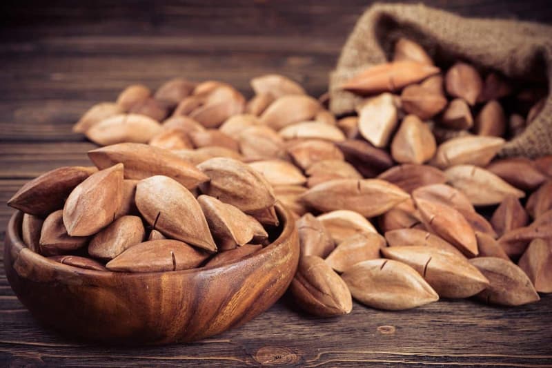 Everything You Should Know About Pili Nuts