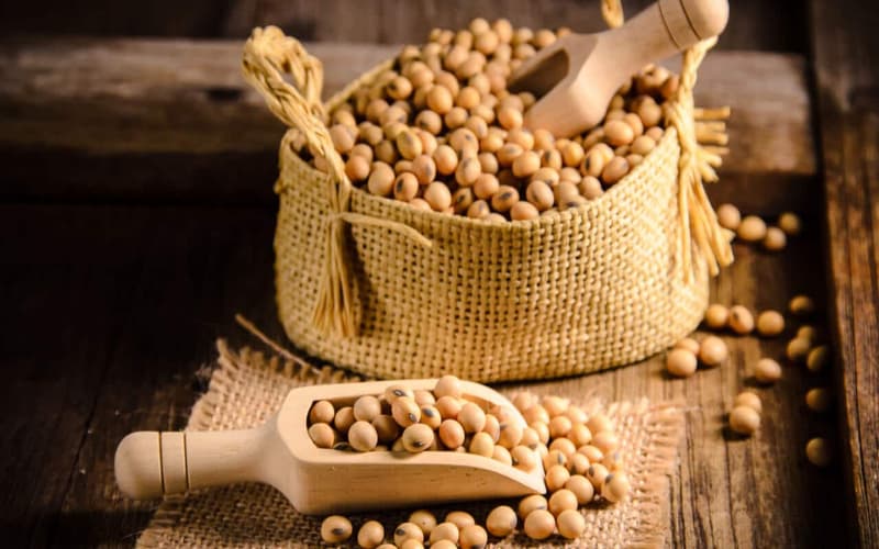 Soybean – Health Benefits, Nutrition Value & Recipes