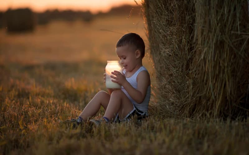 Toned Milk  – Types, Nutrition, Benefits, and Recipes